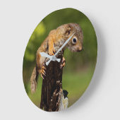 Baby rode eekhoorn grote klok (Hoek)