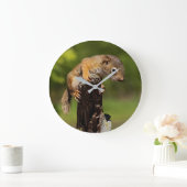 Baby rode eekhoorn grote klok (Huis)