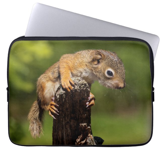 Baby rode eekhoorn laptop sleeve (Voorkant)