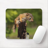 Baby Rode Eekhoorn Muismat (Met muis)