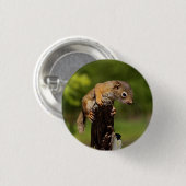 Baby rode eekhoorn ronde button 3,2 cm (Voorkant /achterkant)
