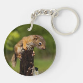 Baby rode eekhoorn sleutelhanger (Achterkant)