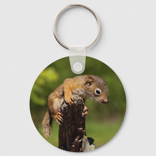 Baby Rode Eekhoorn Sleutelhanger (Voorkant)
