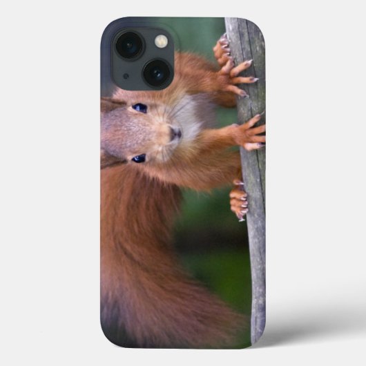 Baby rode iPad-draagtas Case-Mate iPhone Case (Achterkant)