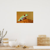 Baby rode oogboomkikker poster (Keuken)