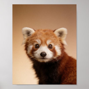 Baby Rode Panda Portret – Mooie Dieren Muurdecorat Poster