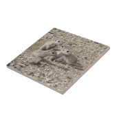 Baby Rondstaartfamilie op de grond Tegeltje (Zijkant)