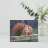Baby Rood Briefkaart (Staand voorkant)