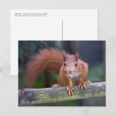 Baby Rood Briefkaart (Voorkant / Achterkant)