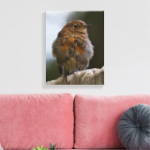 Baby Roodborst in Canvas Afdruk (Insitu (Woonkamer))