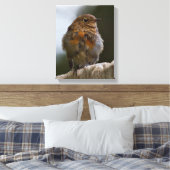 Baby Roodborst in Canvas Afdruk (Insitu (Slaapkamer))