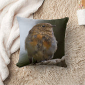 Baby Roodborst Kussen (Deken)