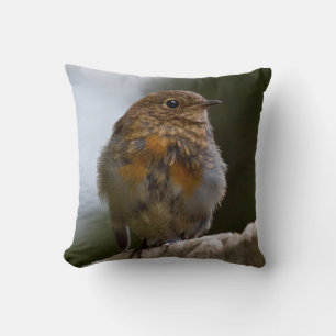 Baby Roodborst Kussen