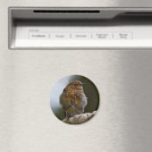 Baby Roodborstje Magneet (Insitu (Vaatwasser))