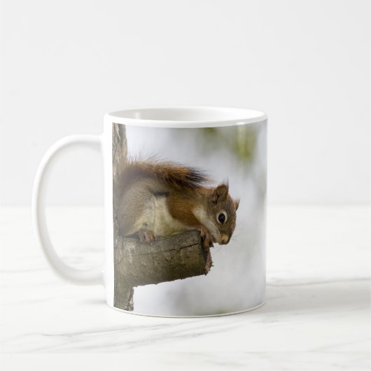 Baby Roodeekhoorn Koffiemok (Links)