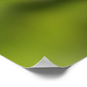 Baby Roodeekhoorn Poster (Hoek)