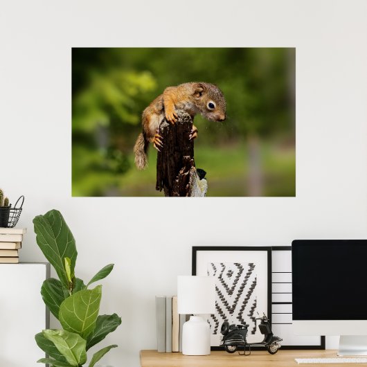 Baby Roodeekhoorn Poster (Thuiskantoor)