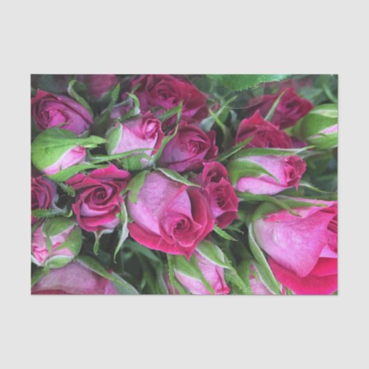 Baby rosebuisjes tissuepapier (Voorkant)