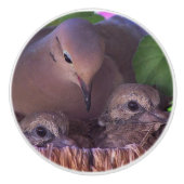 Baby rouwende vogelpest Nest Knob Keramische Knop (Voorkant)