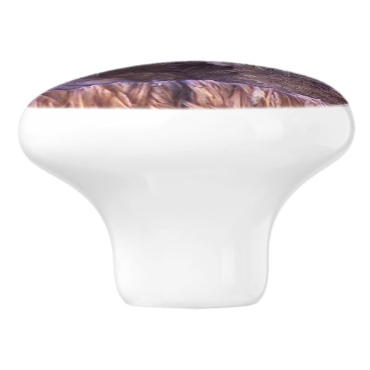 Baby rouwende vogelpest Nest Knob Keramische Knop (Zijkant)