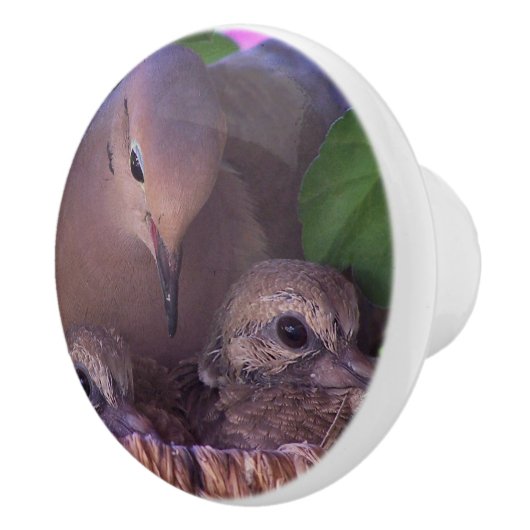 Baby rouwende vogelpest Nest Knob Keramische Knop (Rechts)
