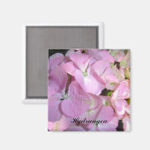 Baby Roze Hortensia Magneet (Voorkant / Achterkant)