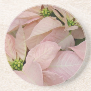 Baby roze Poinsettia Zandsteen Onderzetter