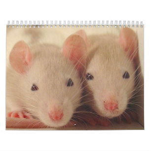baby ' s kalender