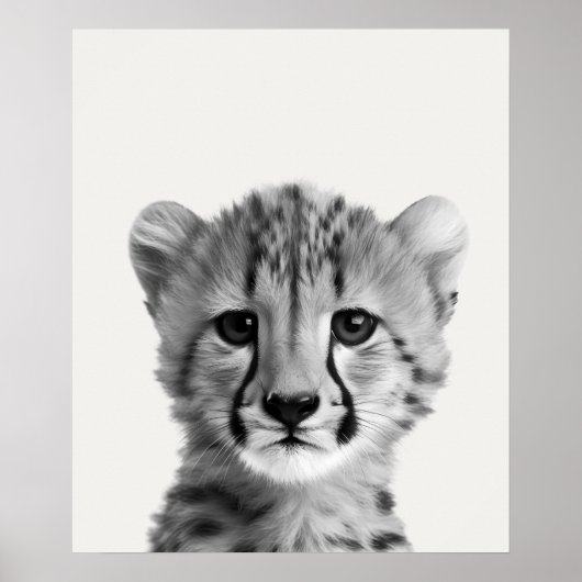 Baby Safari African Oerwoud Animals Cheetah Poster (Voorkant)