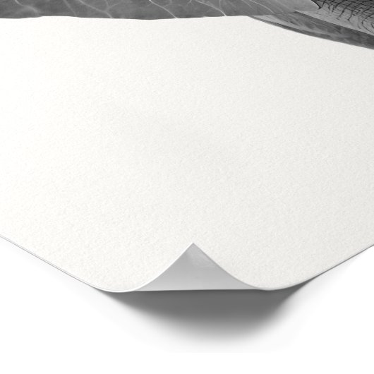 Baby Safari African Oerwoud Animals Elephant Poster (Hoek)