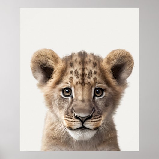 Baby Safari African Oerwoud Animals Lion Cub Poster (Voorkant)
