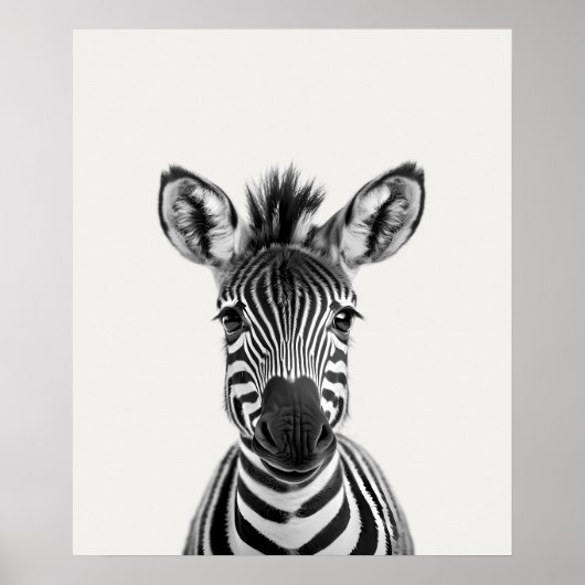 Baby Safari African Oerwoud Animals Zebra Poster (Voorkant)