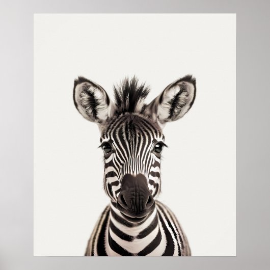 Baby Safari Afrika Jungle Dieren Zebra Poster (Voorkant)