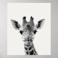 Baby Safari Afrikaanse Jungle Dieren Giraf