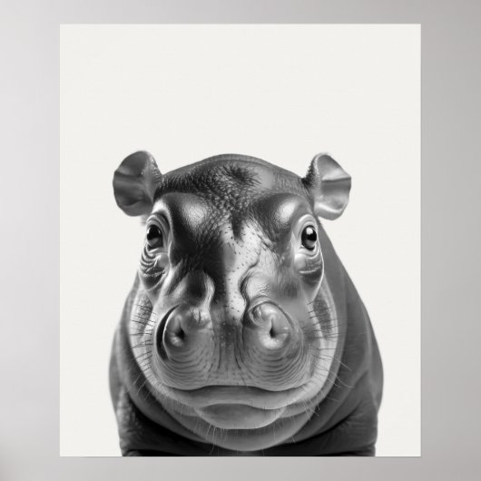 Baby Safari Afrikaanse Jungle Dieren Nijlpaard Poster (Voorkant)