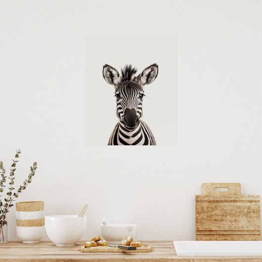 Baby Safari Afrikaanse Jungle Dieren  Zebra Poster (Keuken)