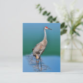 Baby Sandhill Crane en Moeder Briefkaart (Staand voorkant)