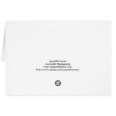 Baby Sandhill Crane met Ouder (Achterkant Horizontaal)