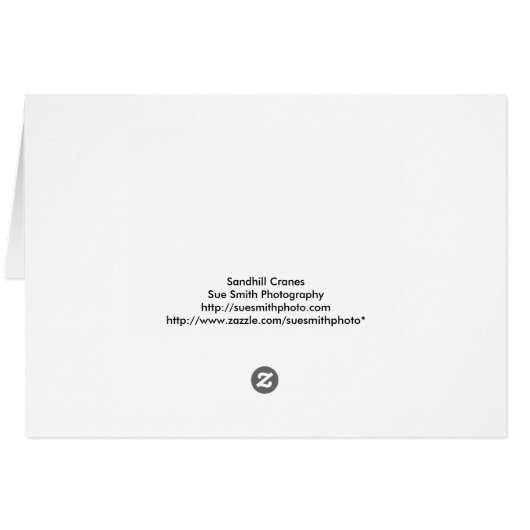 Baby Sandhill Crane met Ouder (Achterkant Horizontaal)