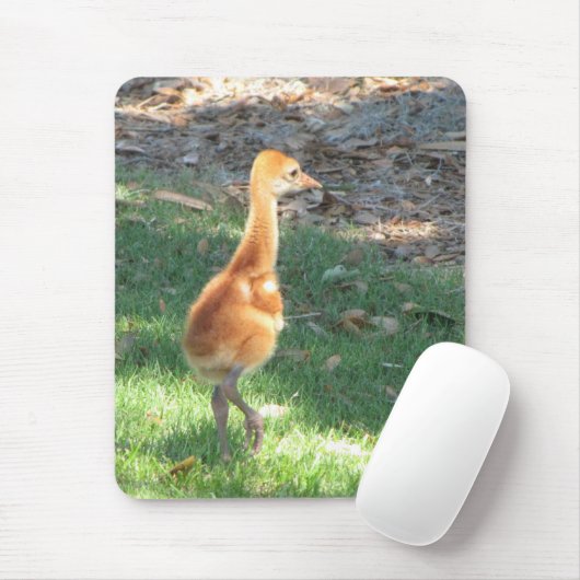 Baby Sandhill Crane Muismat (Met muis)