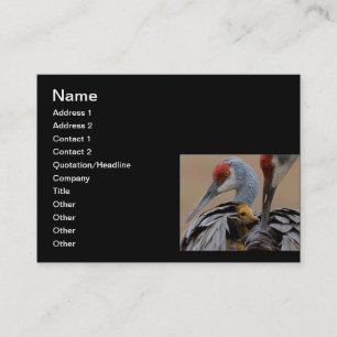 Baby Sandhill met mama Contactkaartje