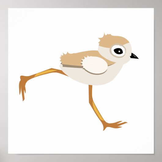 Baby Sandpiper of Pipy Plover Chick Poster (Voorkant)