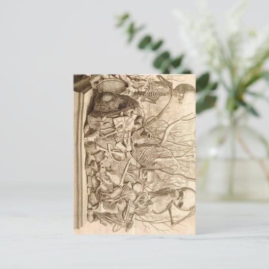 Baby Scavengers Briefkaart (Staand voorkant)