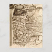 Baby Scavengers Briefkaart (Voorkant)