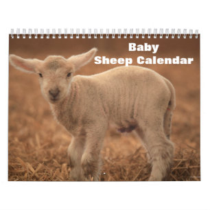 Baby Schaap Lam 2027 Kalender