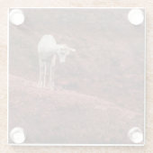 Baby schapen op rode rotsen glazen onderzetter (Achterkant)