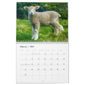 Baby Schapenlamp 2022 Kalender (Feb 2027)