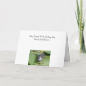 Baby schilderschildpad voor jongen kaart (Achterkant)