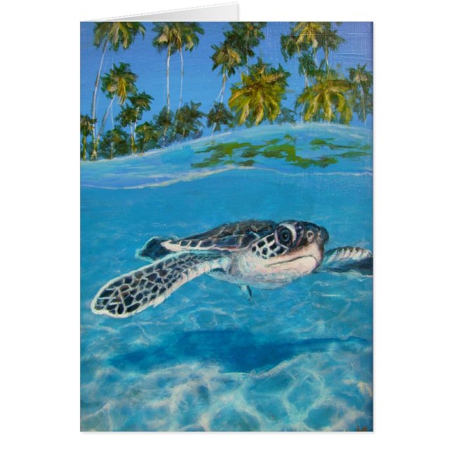 baby schildpad (Voorkant)