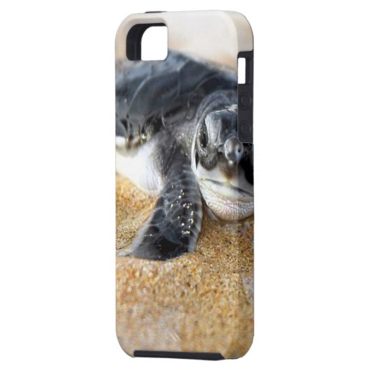 baby-schildpad. iphone hoesje (Achterkant Links)